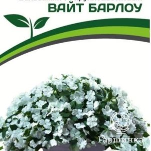 Семена Бальзамин F1 Уоллера крупноцветковый Вайт Барлоу (снова в продаже) 5 шт. Партнер
Семена Бальзамин F1 Уоллера крупноцветковый Вайт Барлоу (снова в продаже) 5 шт. Партнер
