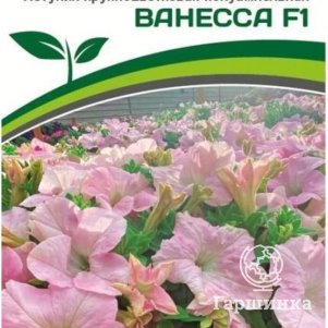 Семена Петуния "Супремо" Ванесса F1 полуампельная нежно-розовая 5 шт. Партнер
Семена Петуния "Супремо" Ванесса F1 полуампельная нежно-розовая 5 шт. Партнер