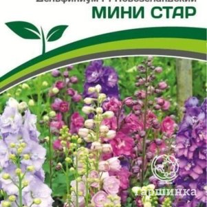 Семена Дельфиниум новозеландский Мини Стар F1 3 шт. Партнер 
Семена Дельфиниум новозеландский Мини Стар F1 3 шт. Партнер