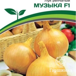 Семена Лук репчатый Музыка F1 0,5 гр. Партнер
Семена Лук репчатый Музыка F1 0,5 гр. Партнер