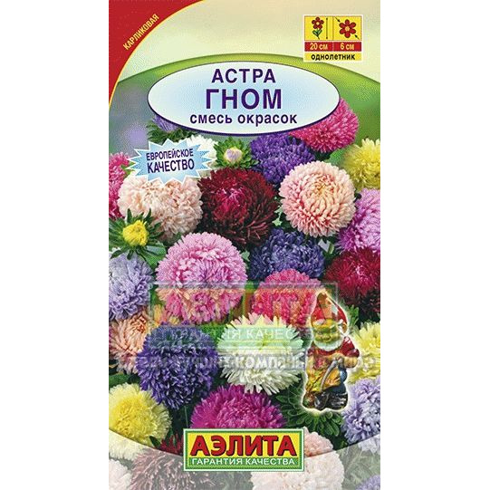 Семена Астра Гном, смесь окрасок ц/п