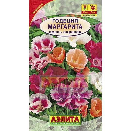 Семена Годеция Маргарита, смесь окрасок ц/п купить в Москве по низкой ...
