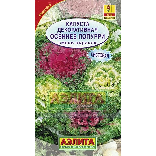 Семена Капуста декоративная Осенне попурри, смесь окрасок