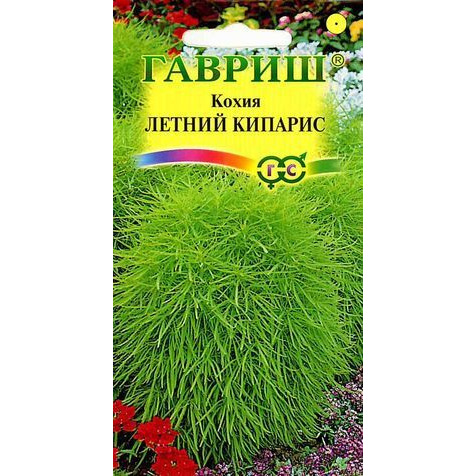 Семена Кохия Летний кипарис (веничная)0,3 г