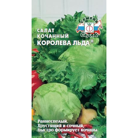 Семена Салат кочанный Королева льда (айсберг) купить в Москве по низкой  цене - интернет-магазин Гаршинка