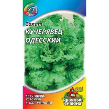Семена Салат полукочанный Кучерявец Одесский 0,5 г хрустящий
