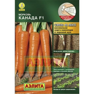 Семена Морковь Канада