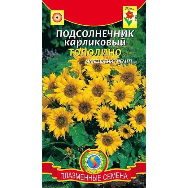 Семена Подсолнечник Тополино карликовый
