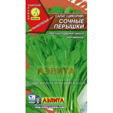 Семена Салат Сочные перышки (цикорий)