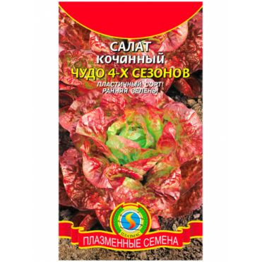 Семена Салат Чудо 4-х сезонов 0,5 г
