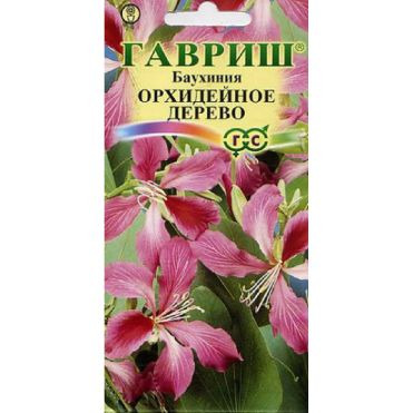 Семена Баухиния Орхидейное дерево 3 шт.