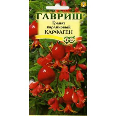 Семена Гранат карликовый Карфаген* 5 шт.
