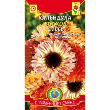 Семена Календула Восход смесь