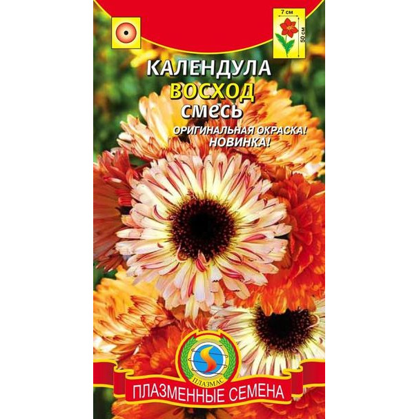 Семена Календула Восход смесь