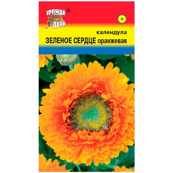Семена Календула Зелёное сердце оранжевая 0,3 г