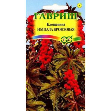 Семена Клещевина Импала бронзовая 5 шт.