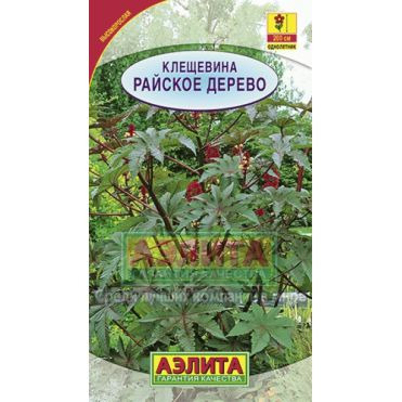 Семена Клещевина Райское дерево