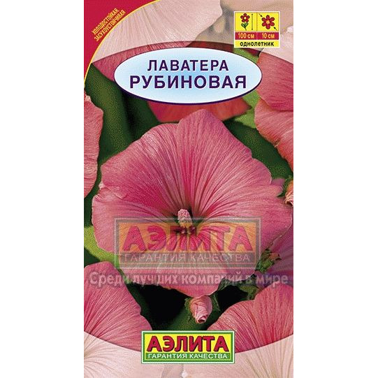 Семена Лаватера Рубиновая купить в Москве по низкой цене - интернет ...