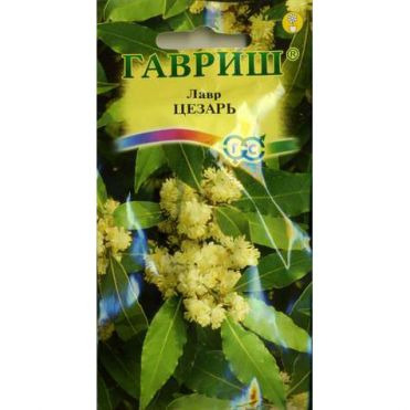 Семена Лавр благородный Цезарь 3шт.