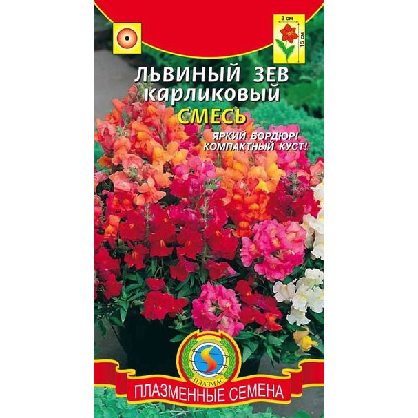 Семена Львиный зев карликовый Смесь