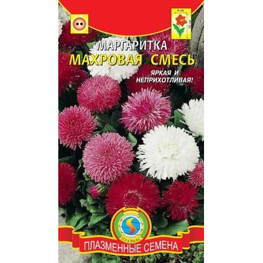 Маргаритки Семена Купить