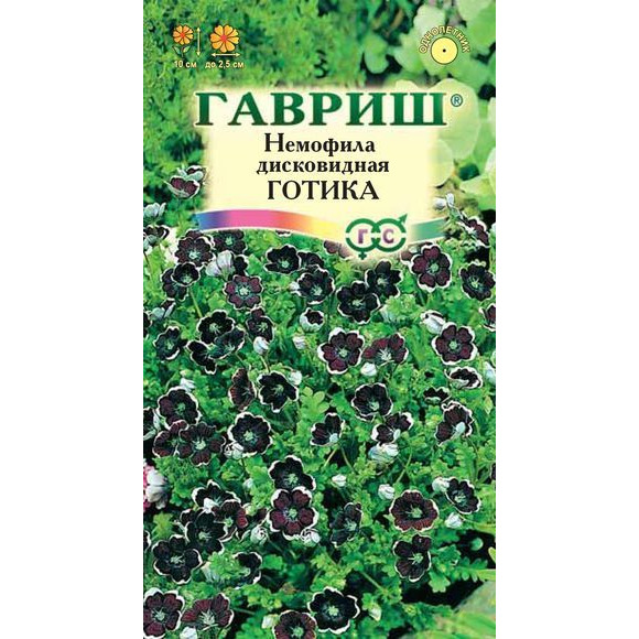 Семена Немофила дисковидная Готика 0,2 г