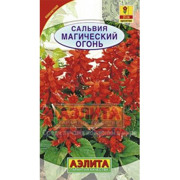 Семена Сальвия Магический огонь