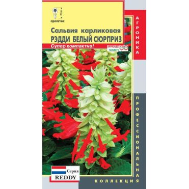 Семена Сальвия Рэдди Белый Сюрприз (серия Reddy) карликовая