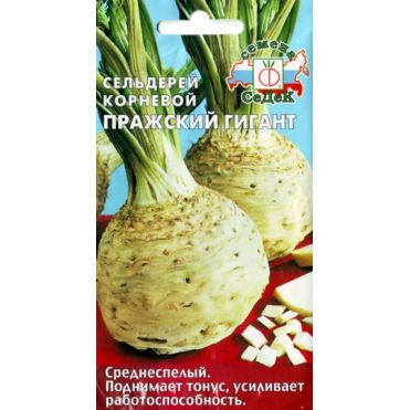 Семена Сельдерей Пражский гигант