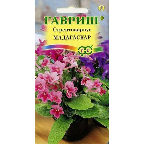 Семена Стрептокарпус гибридный Мадагаскар, смесь 5 шт. гранул. пробирка