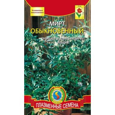 Семена Мирт обыкновенный
