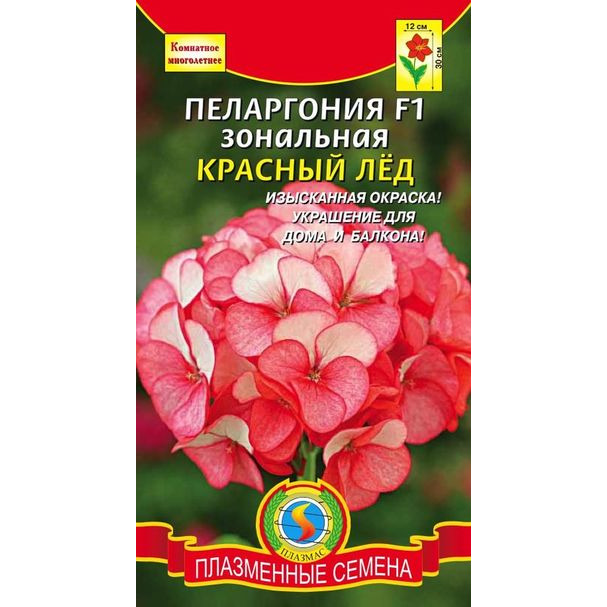 Семена Пеларгония F1 зональная Красный Лёд
