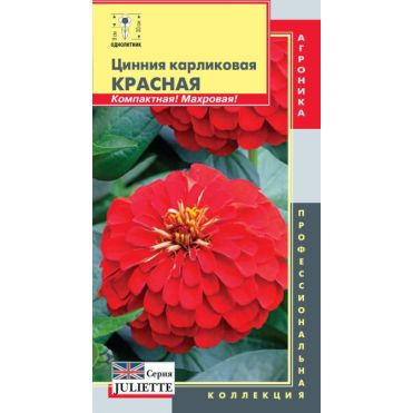 Семена Цинния (серия Juliette) Красная