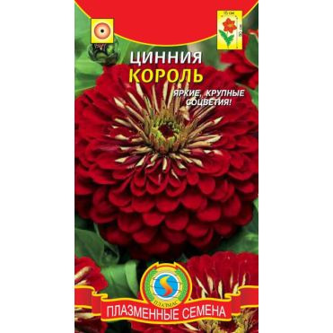Семена Цинния Король