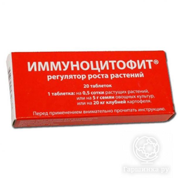 Купить Иммуноцитофит в питомнике. Доставка почтой