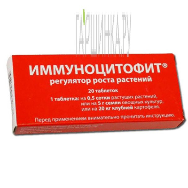 Иммуноцитофит купить в Москве по низкой цене - интернет-магазин Гаршинка