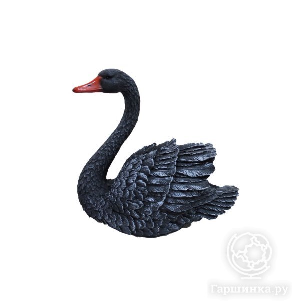 Лебедь средний 37х40 