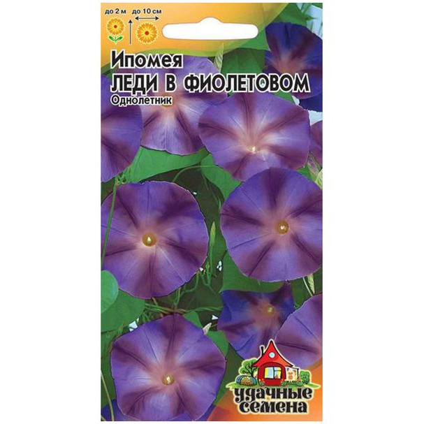 Семена Ипомея Леди в фиолетовом (Гавриш), 0,5 г