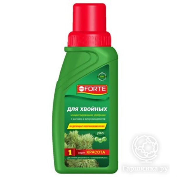 Bona Forte для хвойных КРАСОТА  0,285 л