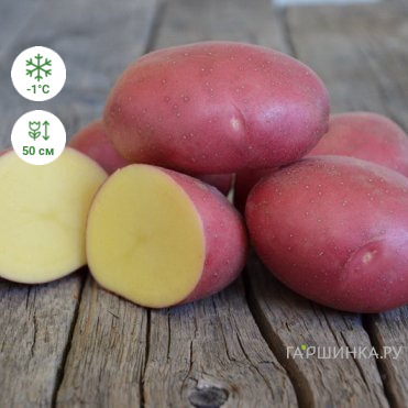Картофель Лабелла 2кг