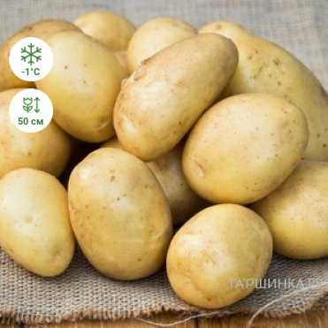 Картофель Лаперла 2кг
