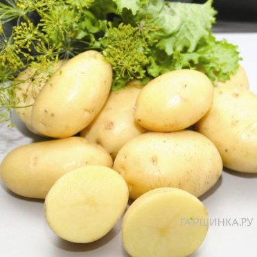 Картофель Импала 2кг