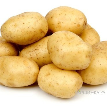 Картофель Кортни