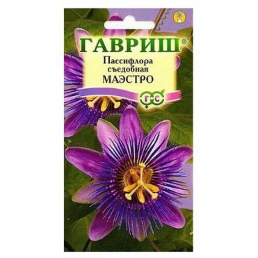 Семена Пассифлора Маэстро, 5 шт
