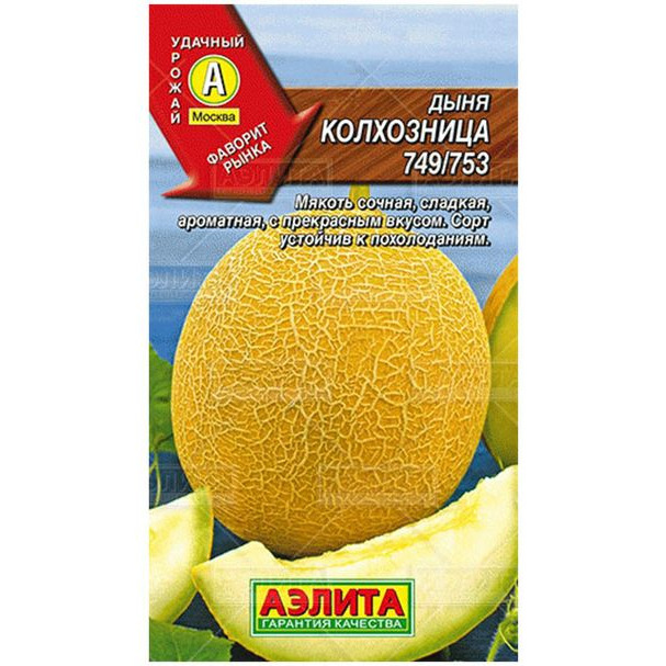 Чем полезна дыня колхозница