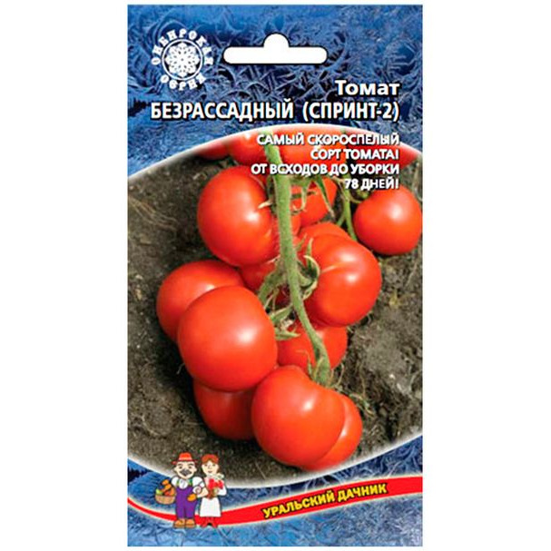 Помидоры Безрассадные Сорта Отзывы И Фото