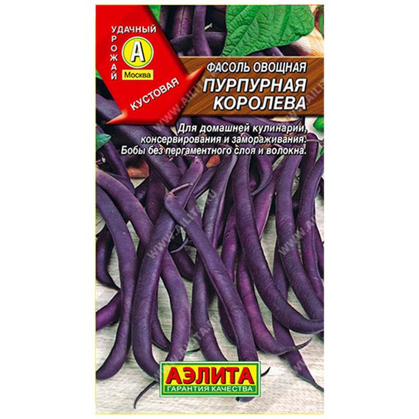 Семена Фасоль Пурпурная королева, овощная, 5 г