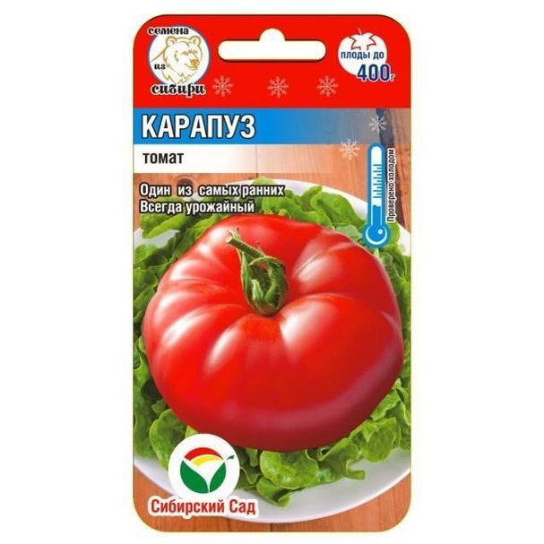 Семена Томат Карапуз 20шт
