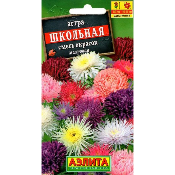 Семена Астра Школьная 0,2гр ЦП