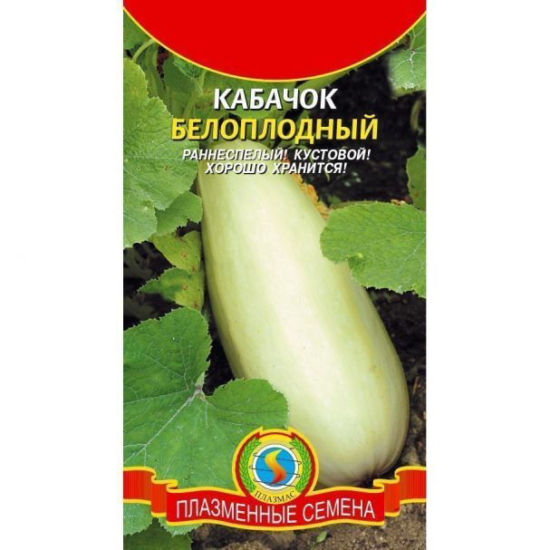 Семена Кабачок Белоплодный ц.п. 11 шт